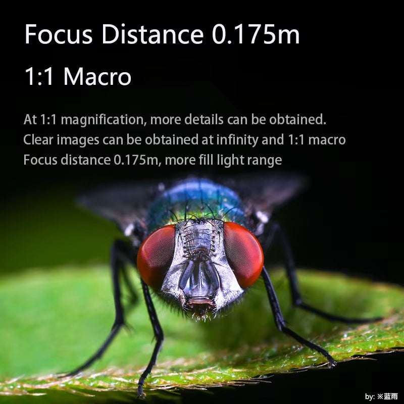 60Mm F2.8 Mark II APS-C Macro Lens for Sony E ZVE10 Nikon Z Z6II Fuji XF Canon RF R6 Micro 4/3 GH1/GH2 Leica T TL SL